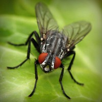 /album/brayn123/photolia-a01-jpg/