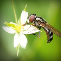 /album/brayn123/photolia-a02-jpg/