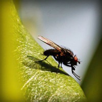 /album/brayn123/photolia-a04-jpg/