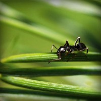 /album/brayn123/photolia-a05-jpg/