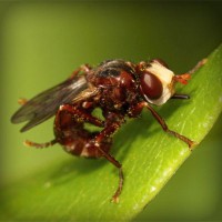 /album/brayn123/photolia-a06-jpg/