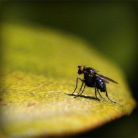 /album/brayn123/photolia-a07-jpg/